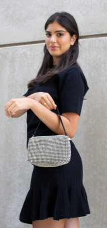 Diamond Bag Silver