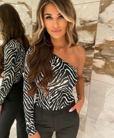 Zebra Body